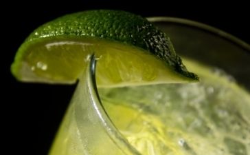 CACHAÇA & Caipirinha